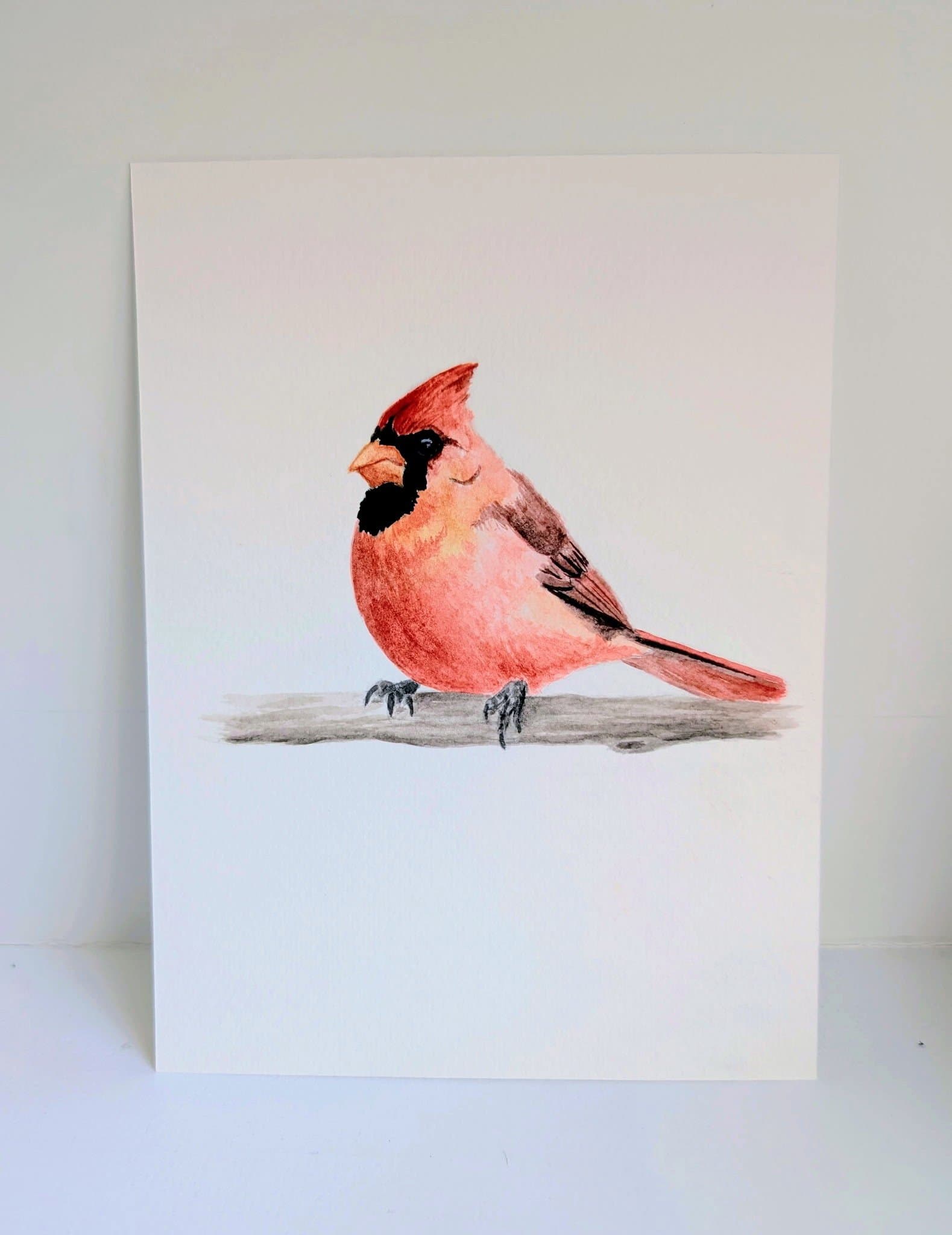 Northern Cardinal by Christina Bias