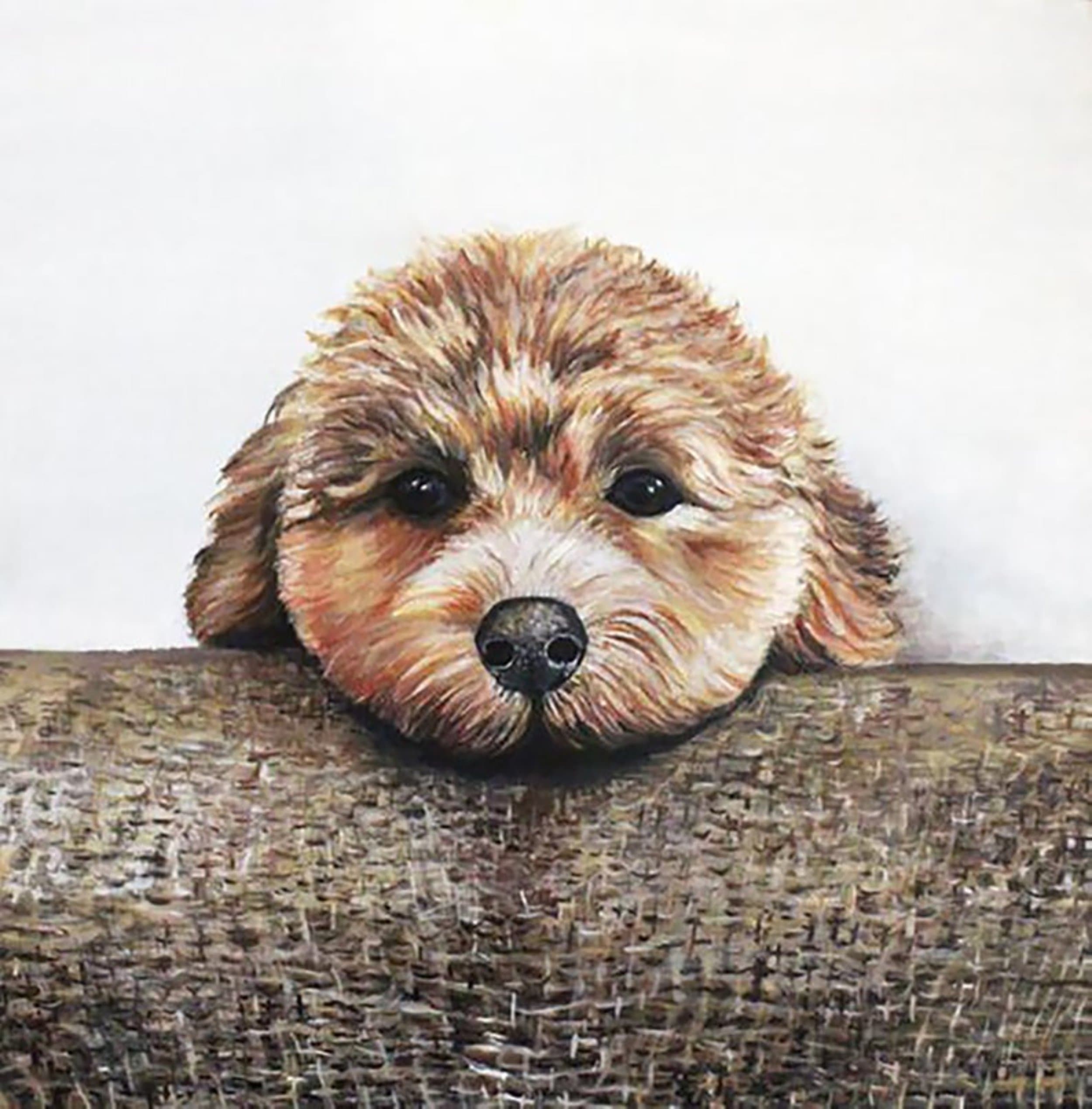 Curiosity (Custom Pet Painting) by Hope Flynn