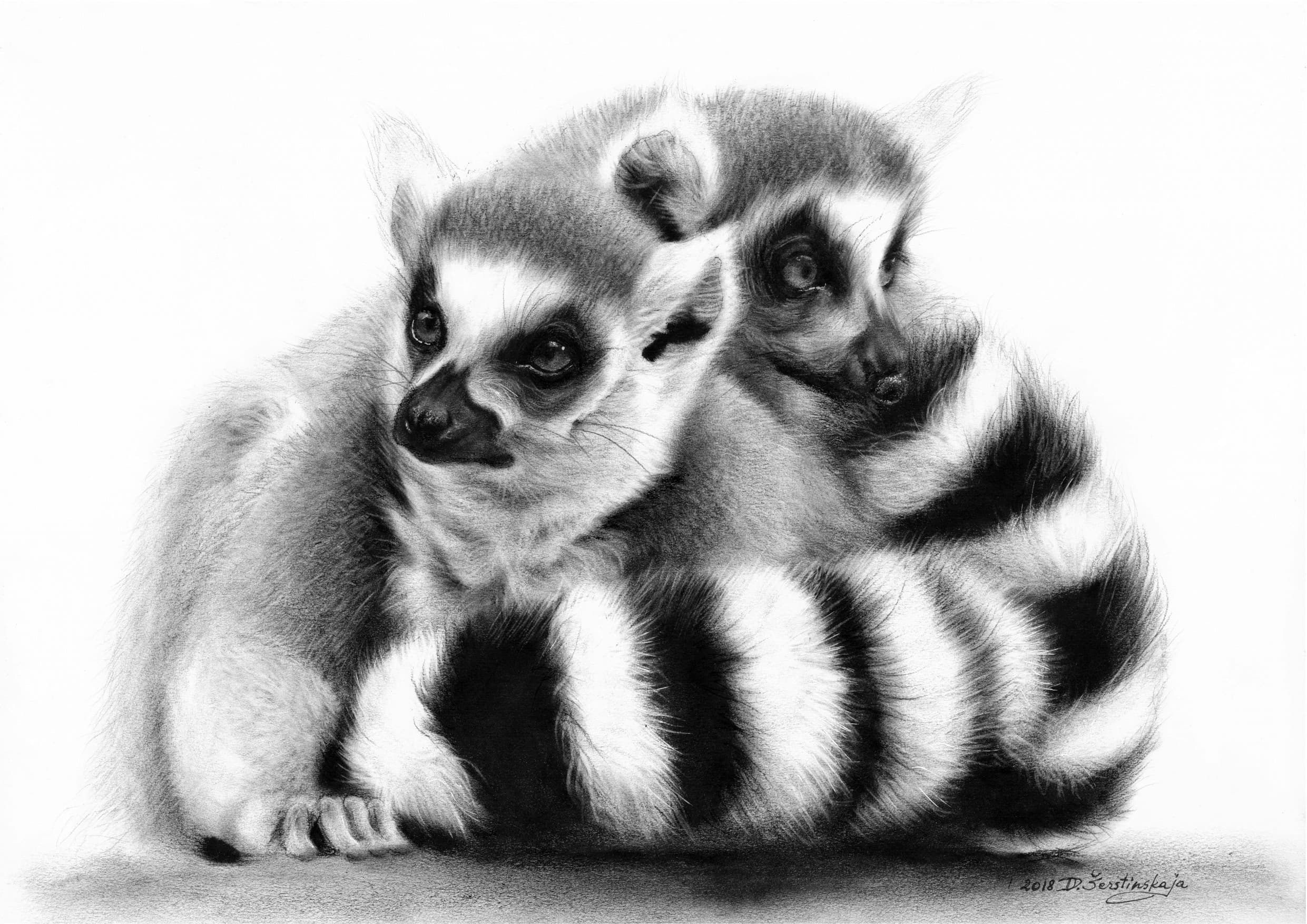 Lemurs in oils by Danguole Serstinskaja
