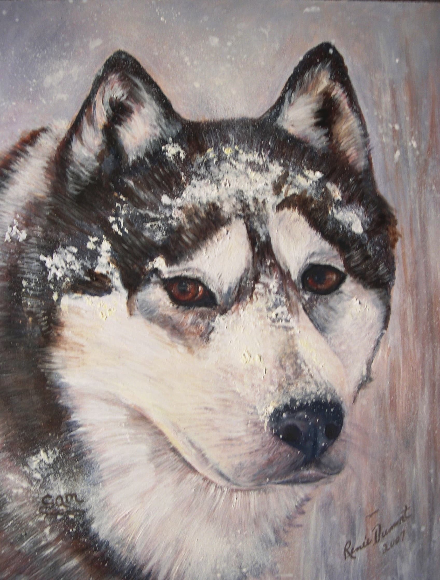 Siberian Husky Pet Portrait | Mixed Media & Oil by Renee Dumont