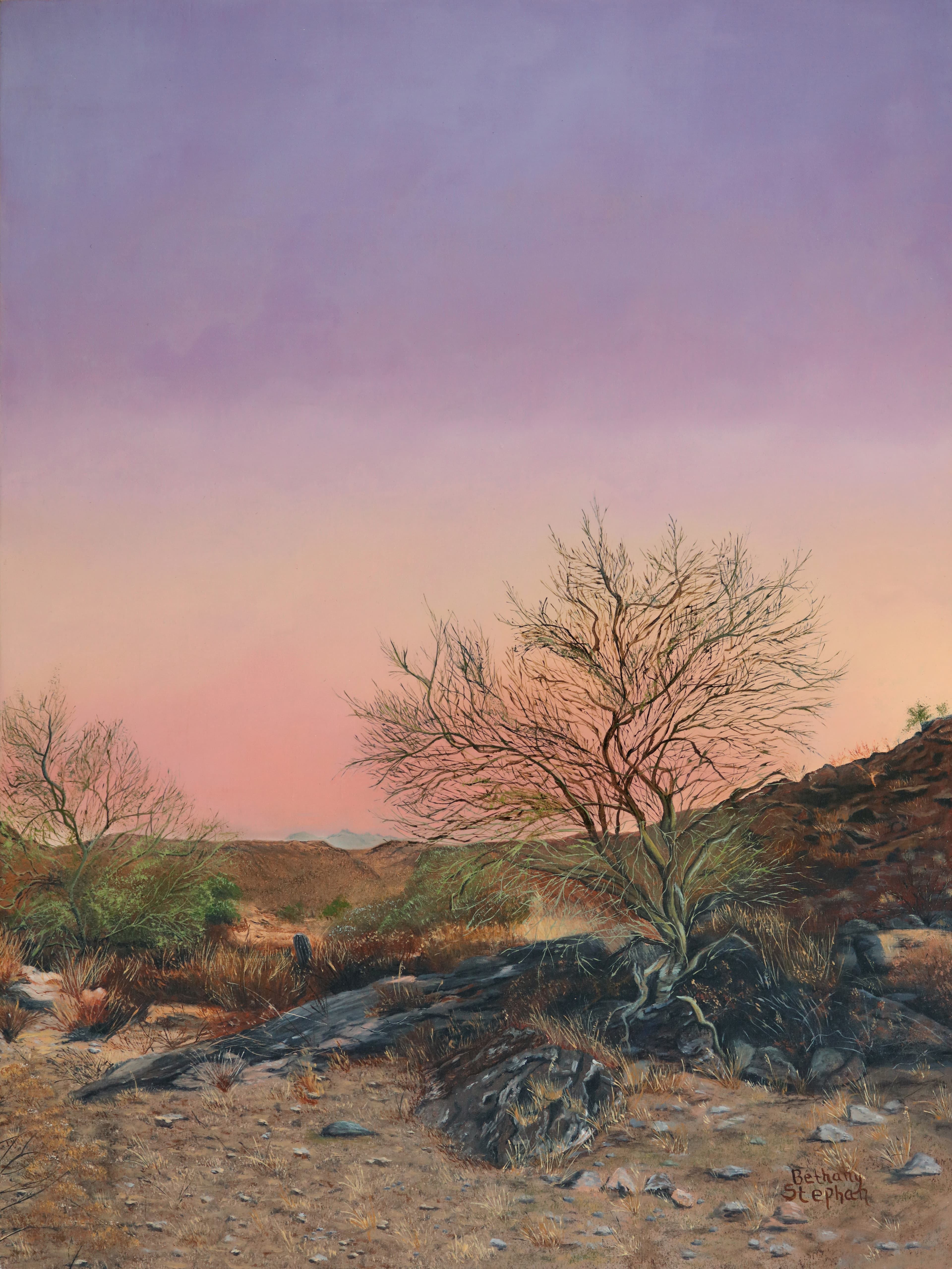 Palo Verde by Bethany Stephan